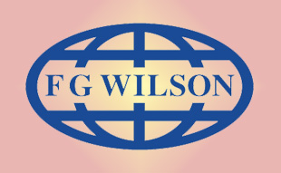 ✓ FG-Wilson 0921173 Шайба форсунки 